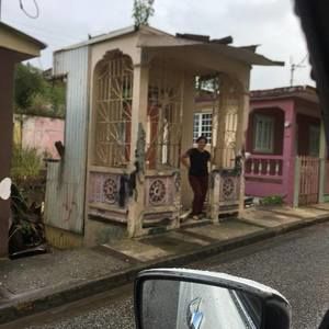 Meet your Posher, Rosa iris